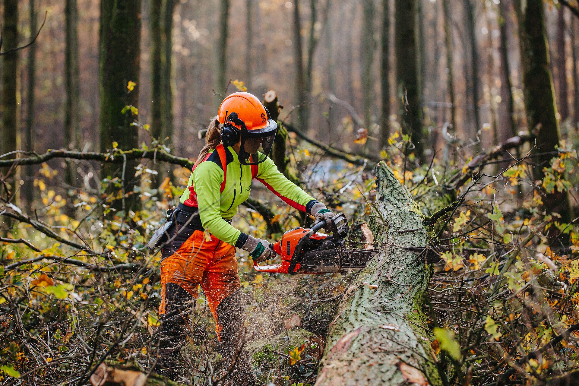 RVR-Forstwirtin Katharina Lechtenfeld entastet einen Eichenstamm und sortimentiert das Eichenholz im RVR-Waldgebiet Haard im Dezember 2020.